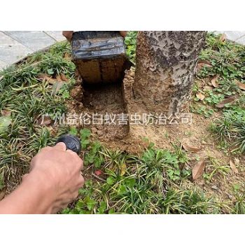 小谷圍防治白蟻工程