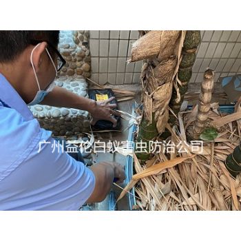 新造鎮白蟻危害防治工程